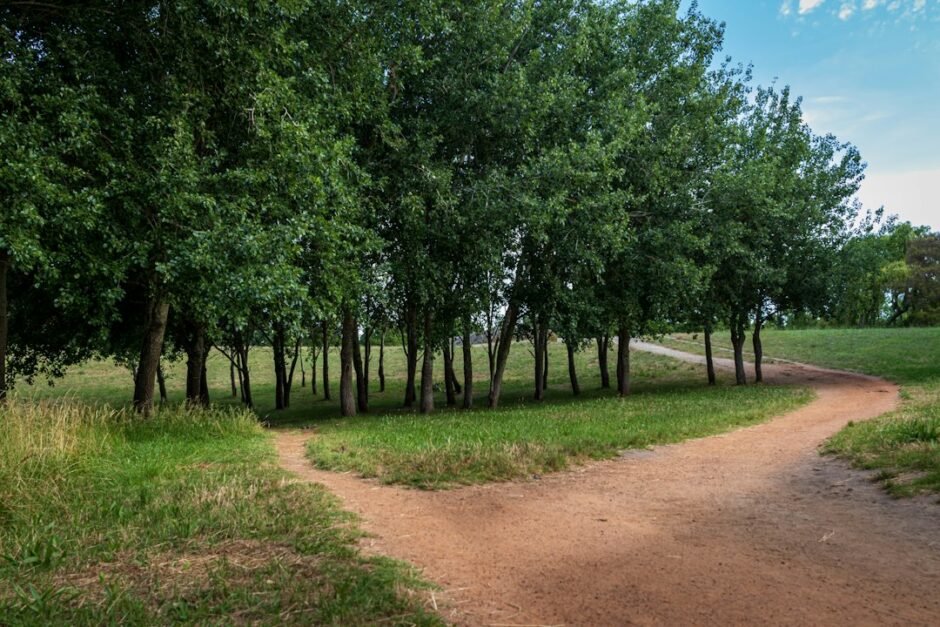 森の中で二方向に分かれる道。サンクコスト効果と、続けるか方向転換するかの判断を表す