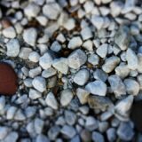 多数の小石の中で一つの赤い物体が強く目立ち、否定的情報へ重みが偏る様子を表す写真
