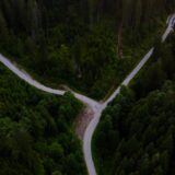 森の中で複数方向へ分かれる道を上空から見た風景