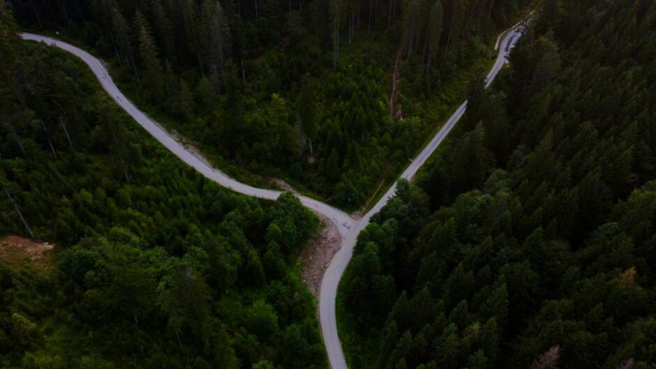 森の中で複数方向へ分かれる道を上空から見た風景