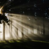 プネウマとは？ストア派が考えた物体のまとまりと生命の原理
