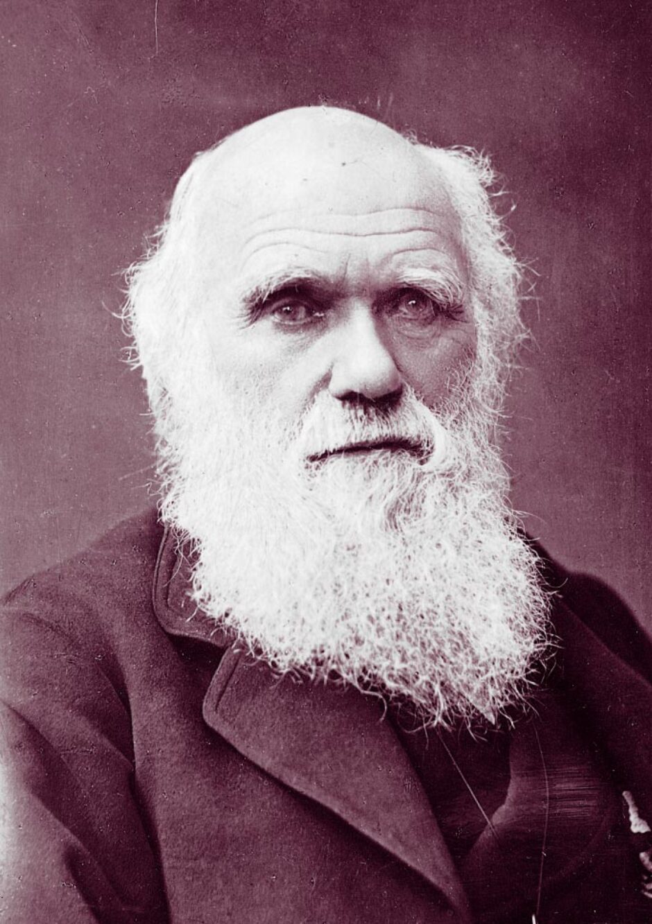 チャールズ・ダーウィンの1881年の肖像写真