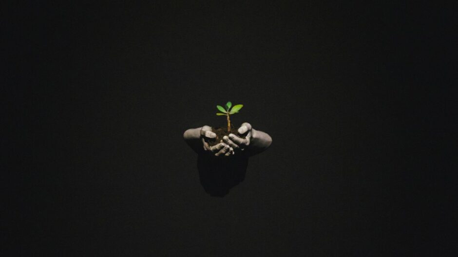 手のひらに乗った小さな緑の植物。成長を待つ時間と忍耐を象徴する横長写真