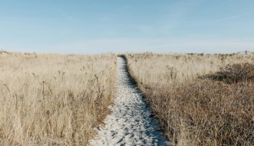 アリストン・オブ・キオスはなぜ論理学と自然学を退けたのか