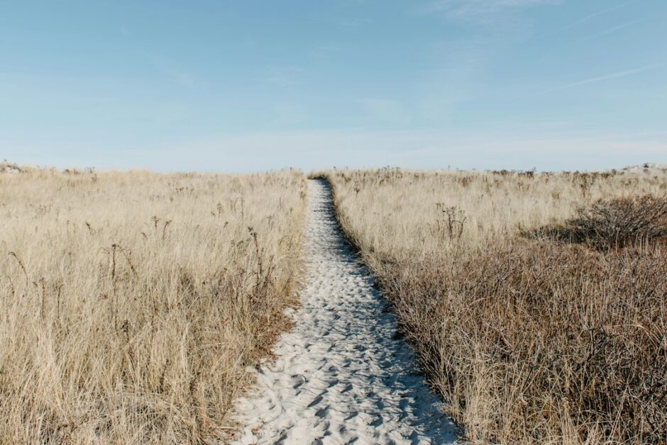 草原の中を一本の砂の道が延びる風景。倫理学へ哲学を集中したアリストンの立場を象徴する現代写真