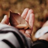 手放すことの名言集｜執着や変えられないものから離れ、今へ戻る言葉